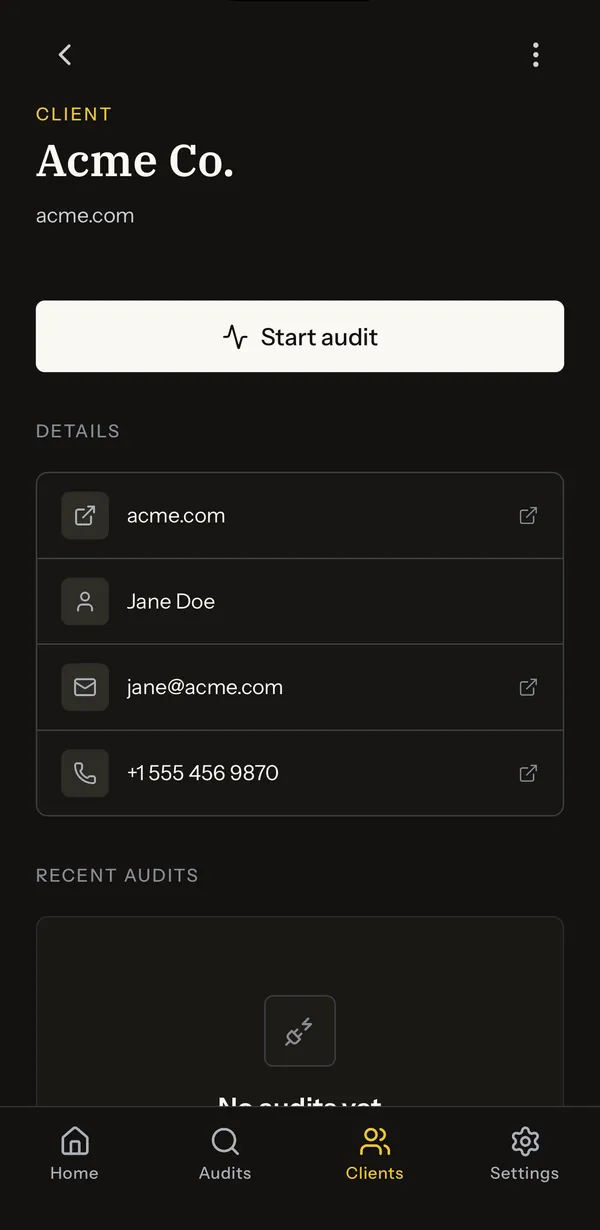 Client profile with contact details and audit history