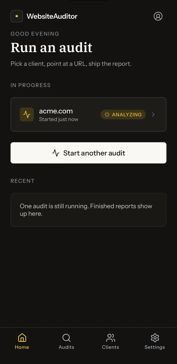Assay home screen with an audit in progress