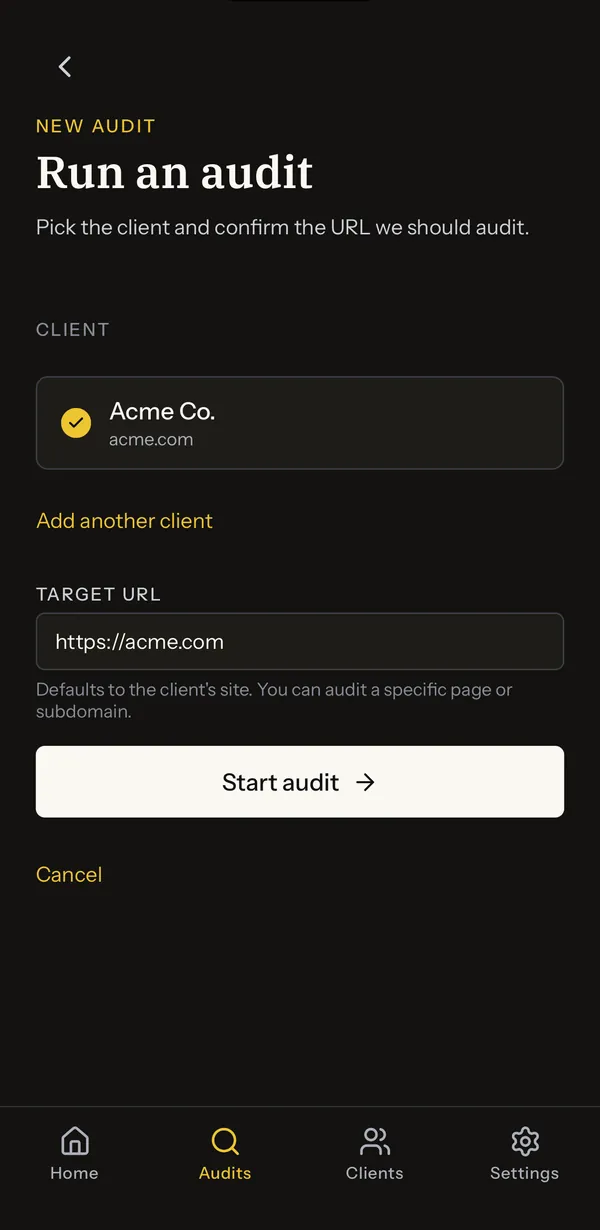 Starting an audit: pick a client and confirm the URL